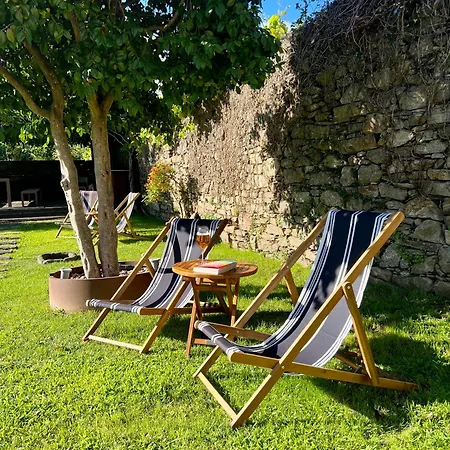 The Tailor's Garden Santiago de Compostella